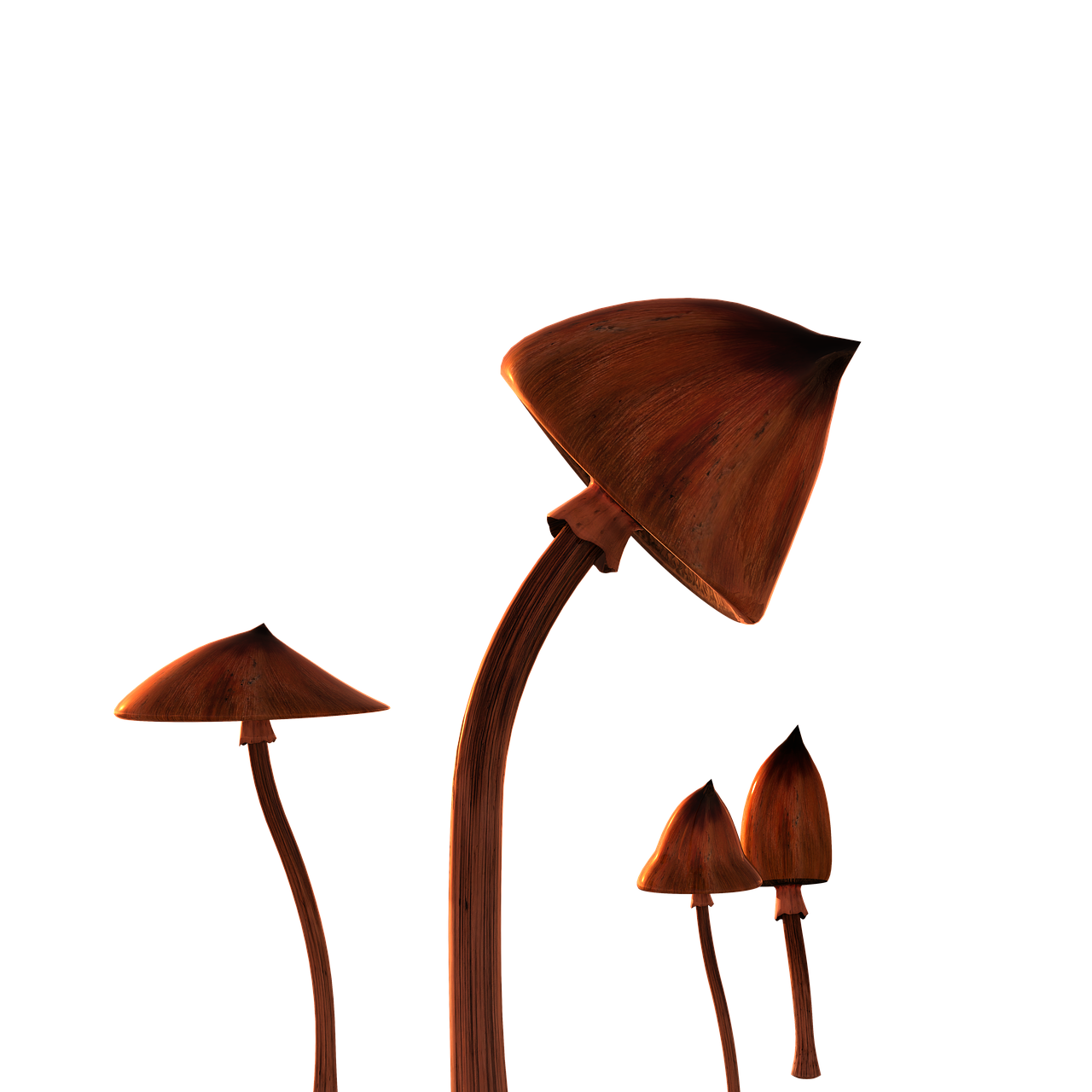 shroom